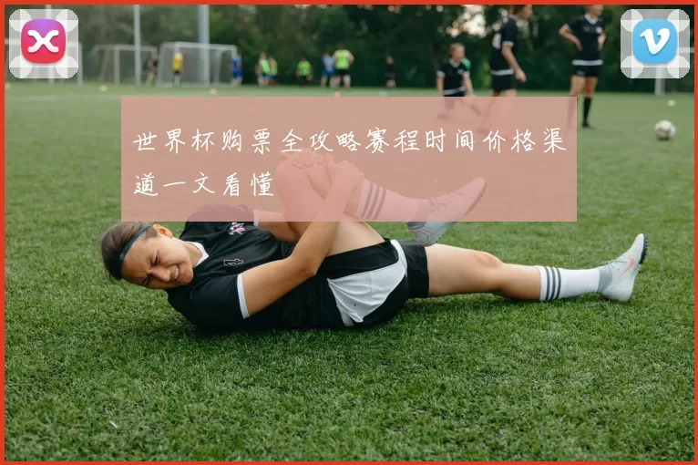 世界杯购票全攻略赛程时间价格渠道一文看懂